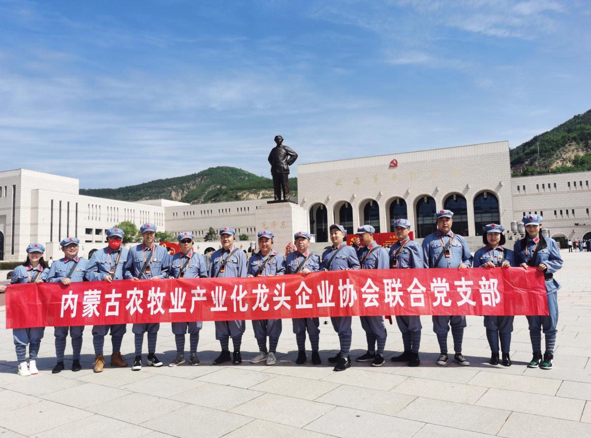 內(nèi)蒙古農(nóng)牧業(yè)產(chǎn)業(yè)化龍頭企業(yè)協(xié)會聯(lián)合黨支部赴延安革命圣地開展“學(xué)黨史、感黨恩、跟黨走”主題黨日活動