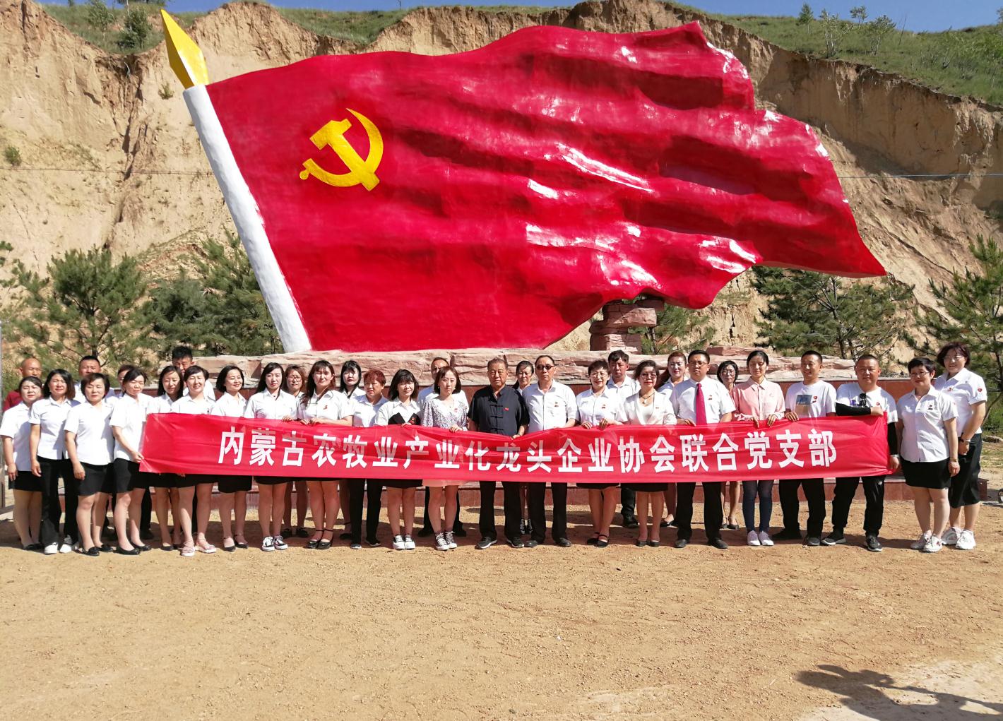 內(nèi)蒙古農(nóng)牧業(yè)產(chǎn)業(yè)化龍頭企業(yè)協(xié)會走進石人灣村開展“辦實事、解難題，送溫暖，傳黨恩”公益活動