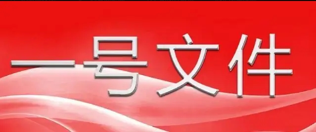 中共中央 國(guó)務(wù)院關(guān)于進(jìn)一步深化農(nóng)村改革 扎實(shí)推進(jìn)鄉(xiāng)村全面振興的意見